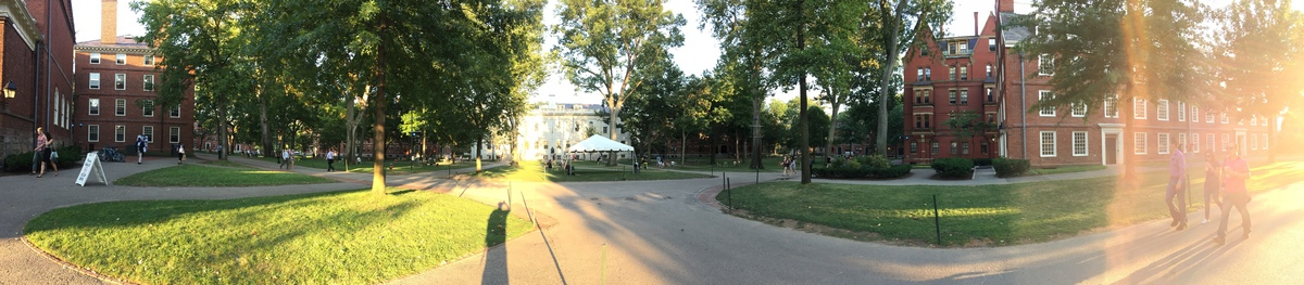 Harvard Evening Sun