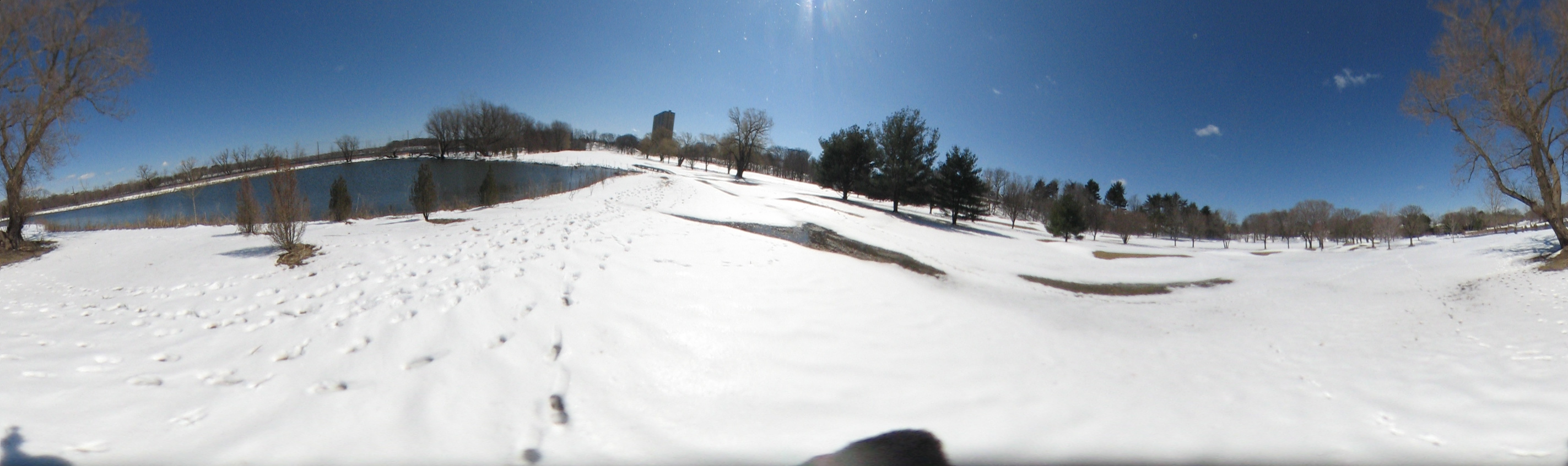 March 20, 2007, Harvard - Cambridge - Freshpond