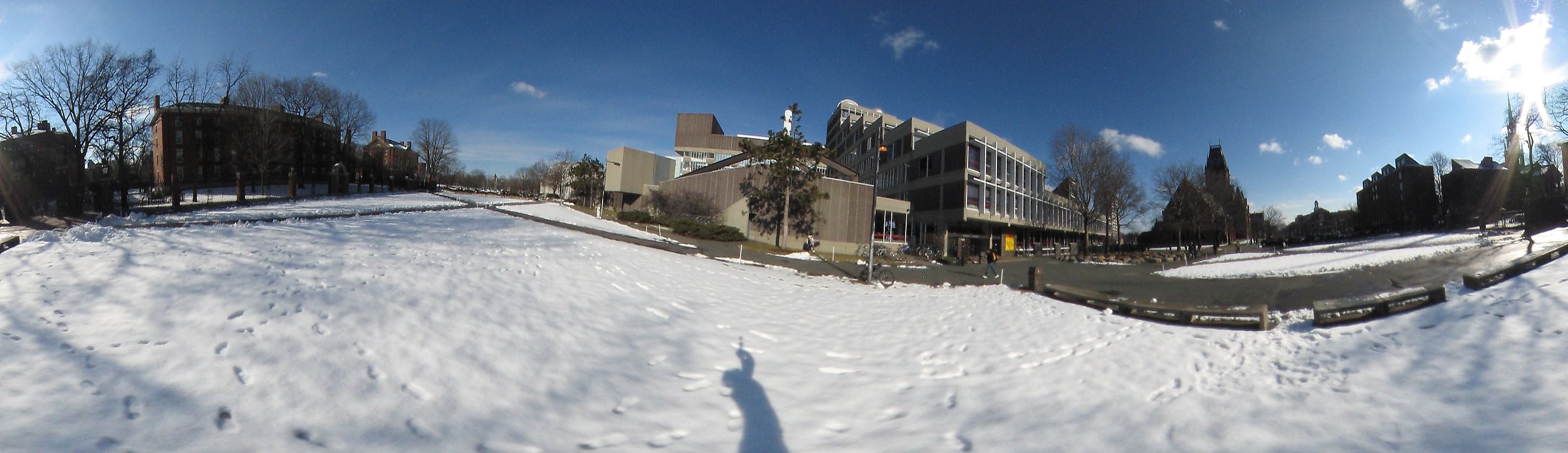 Harvard yard, Harvard University