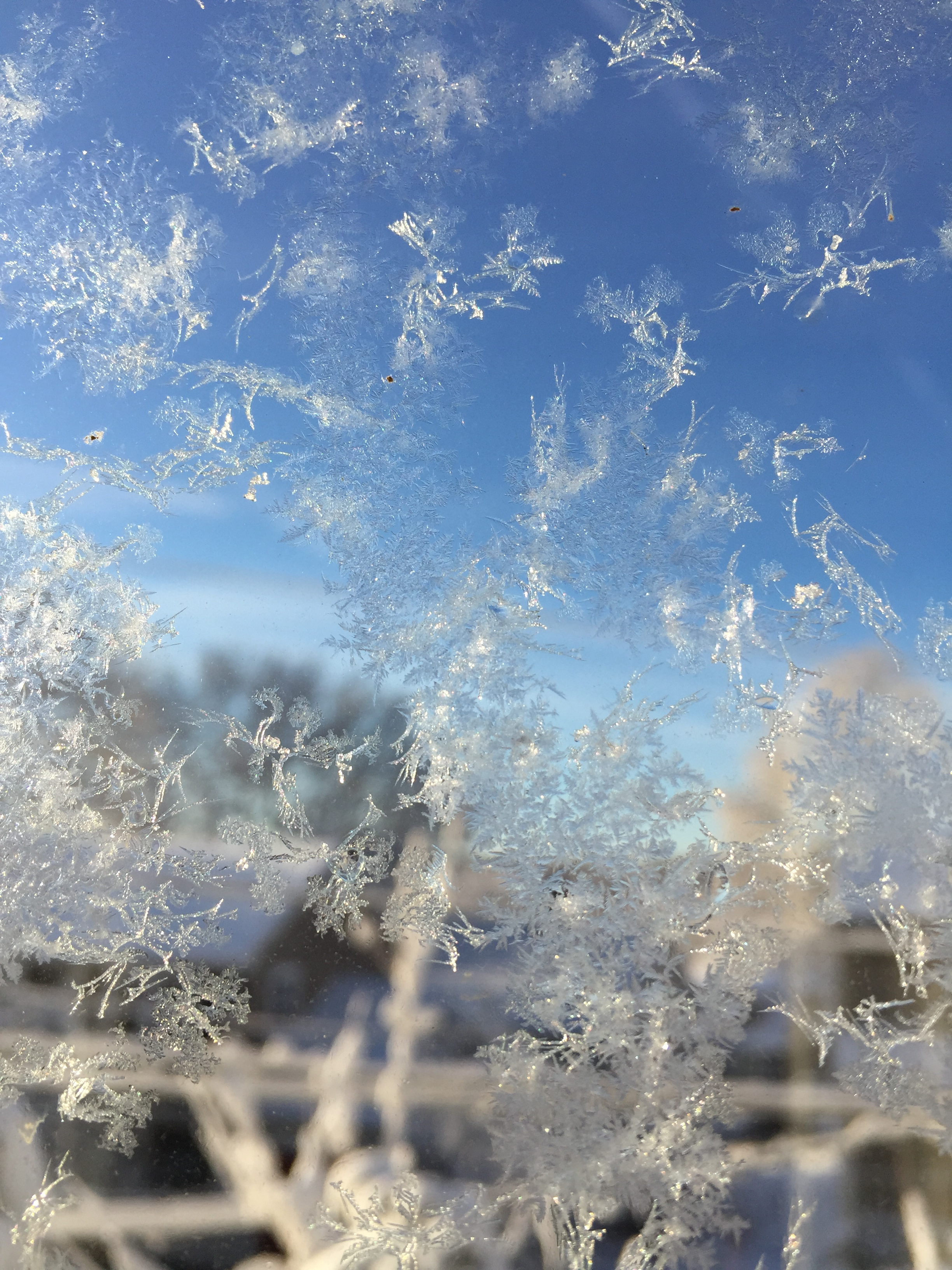 view through the window