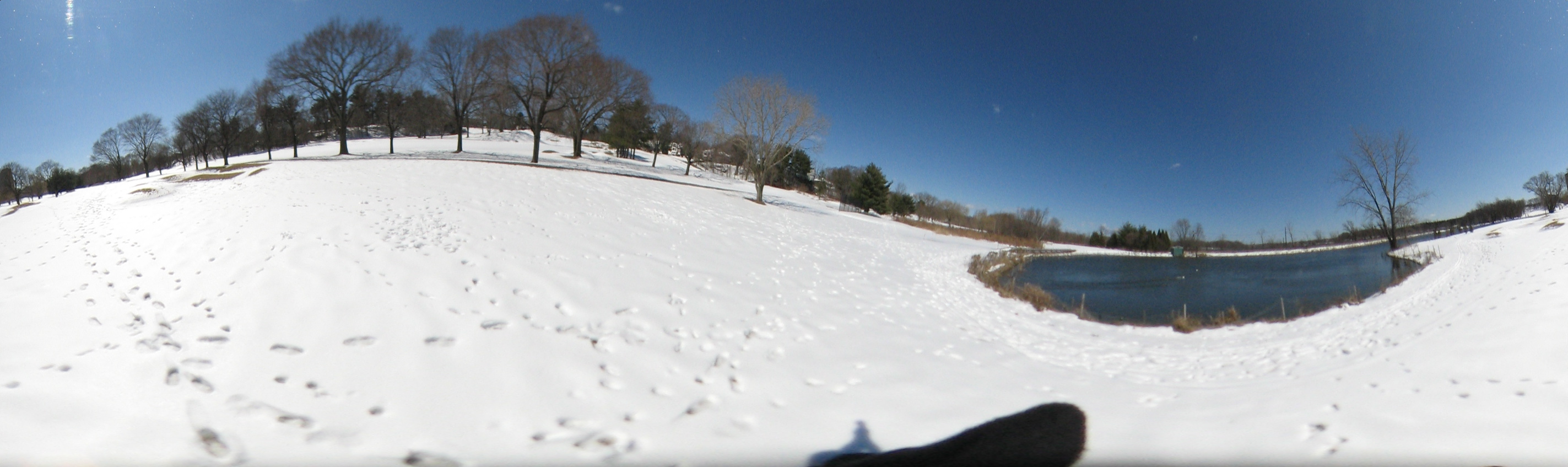 March 20, 2007, Harvard - Cambridge - Freshpond