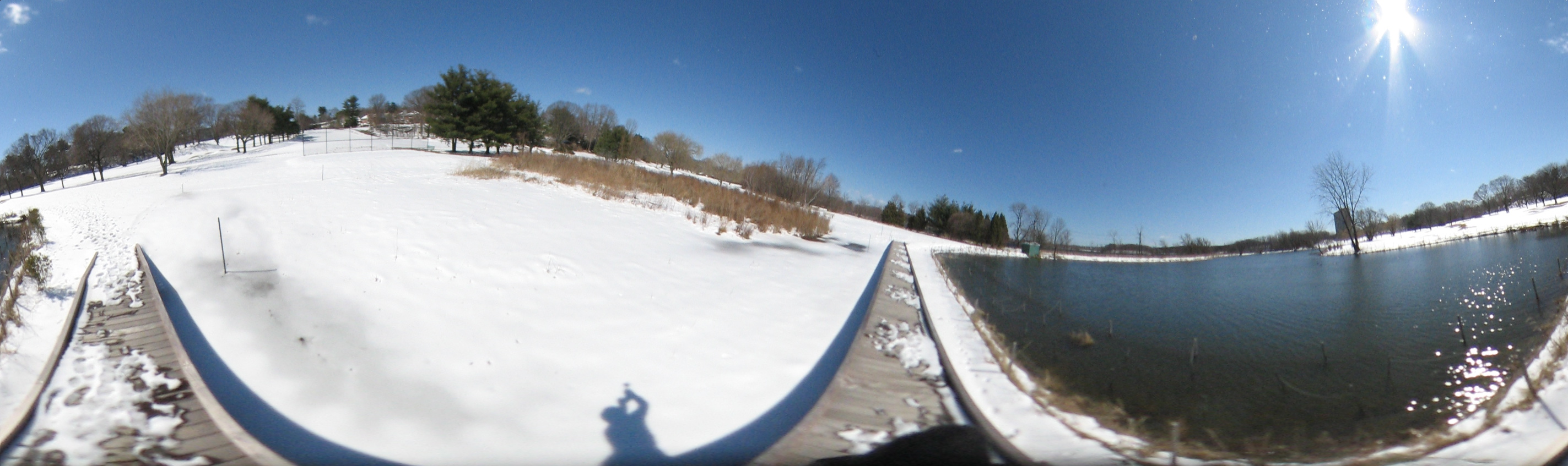 March 20, 2007, Harvard - Cambridge - Freshpond