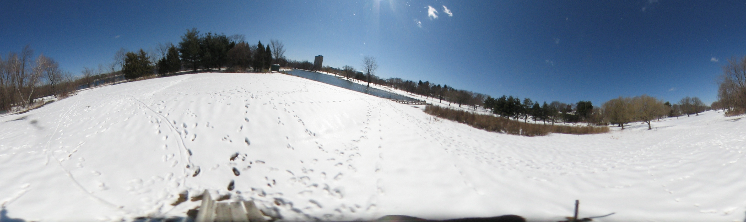 March 20, 2007, Harvard - Cambridge - Freshpond