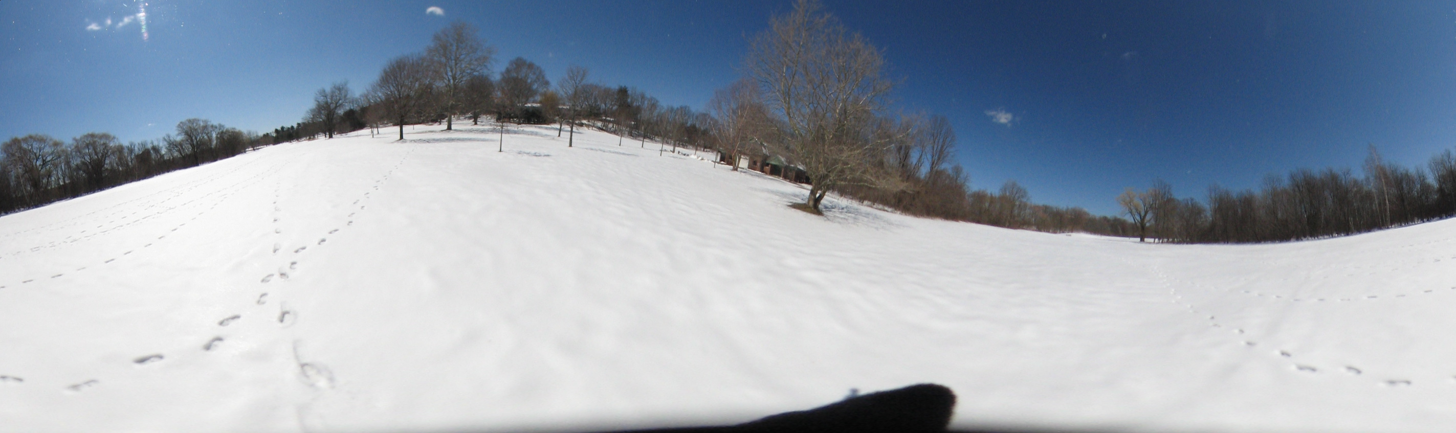 March 20, 2007, Harvard - Cambridge - Freshpond