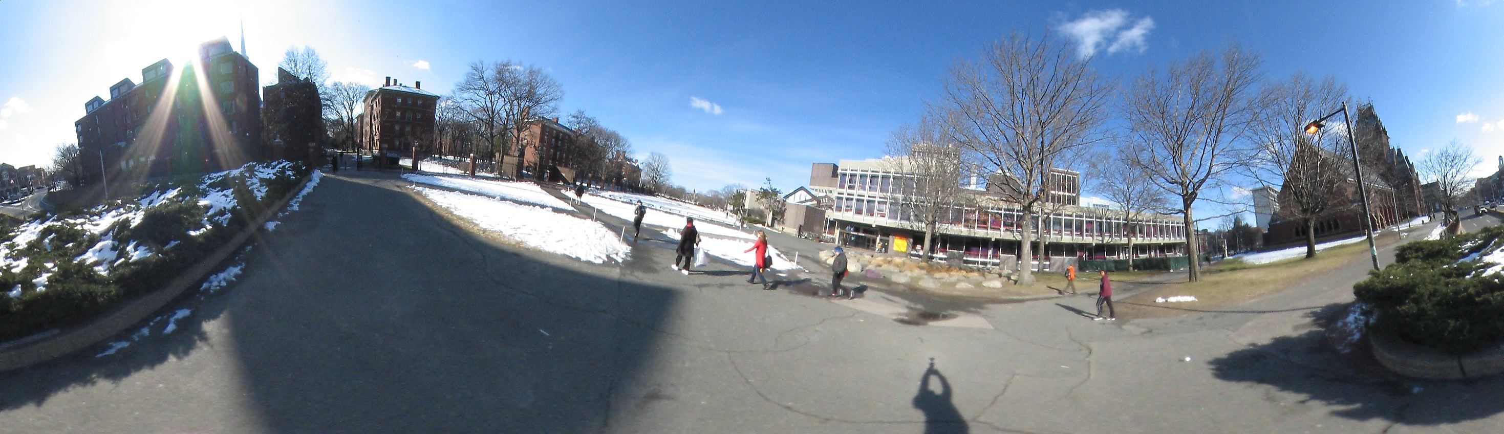 Harvard yard, Harvard University