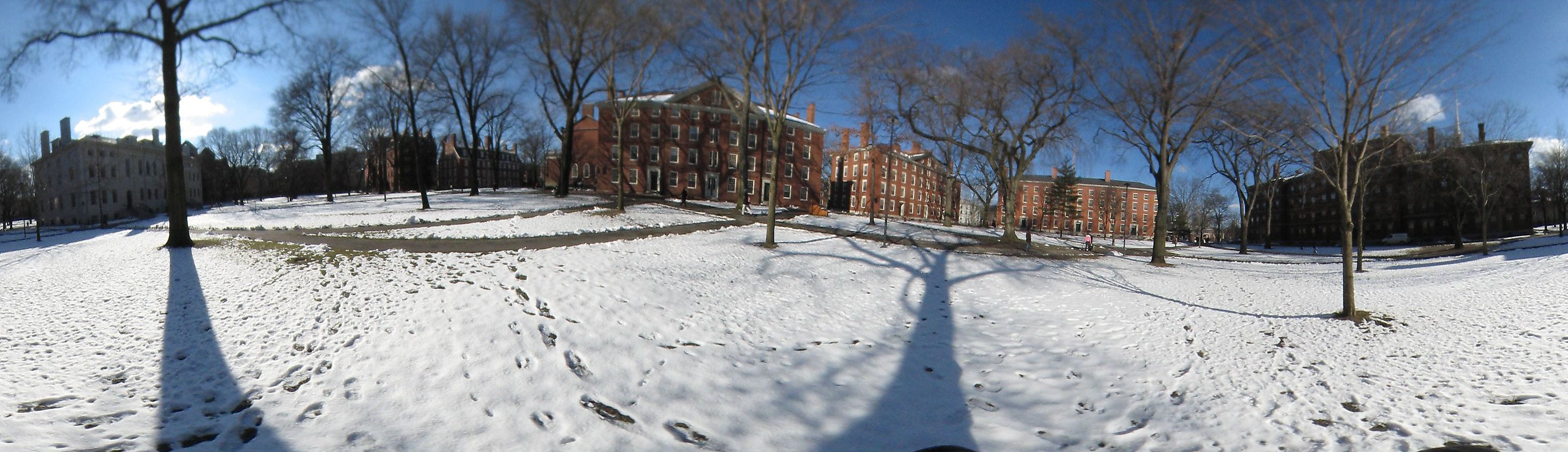 Harvard yard, Harvard University