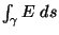 $\int_{\gamma} E \; ds$